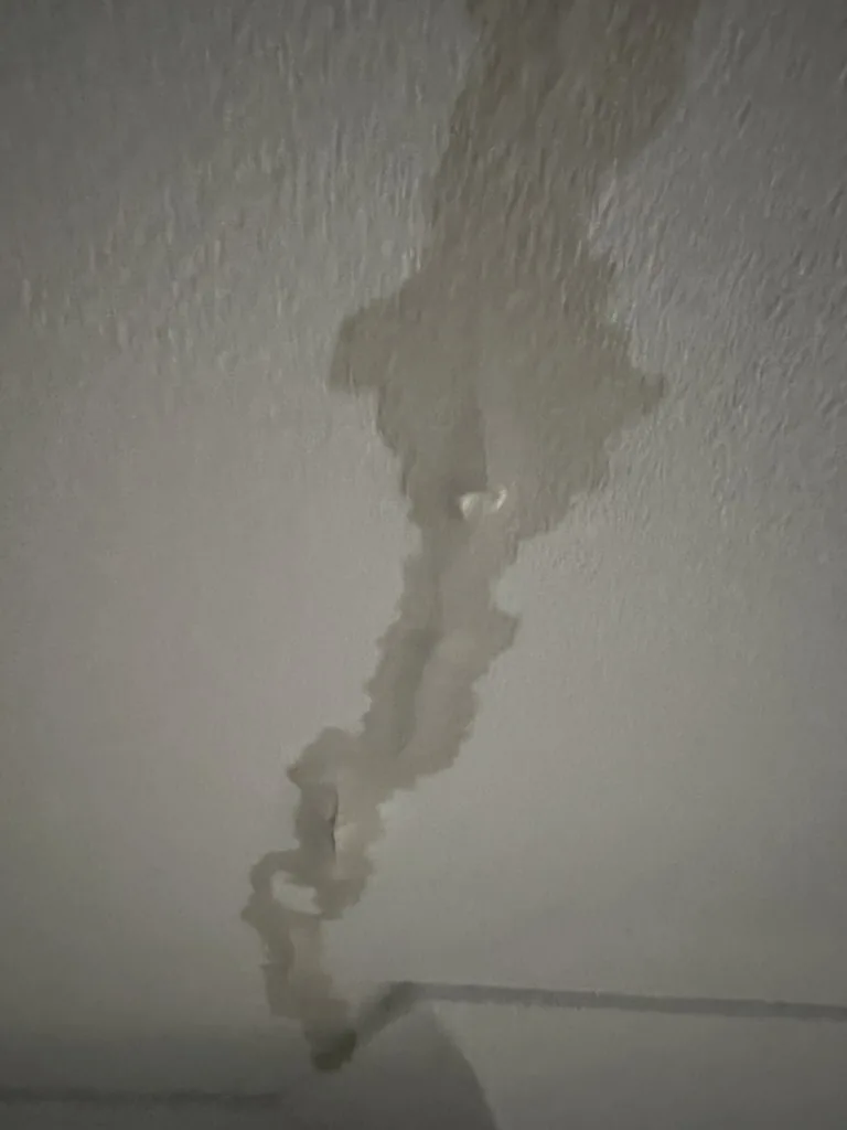 Detail van de lekschade aan het plafond