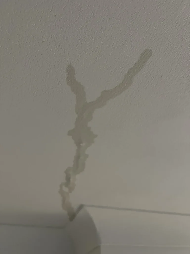 Plafond met sporen van een waterlek